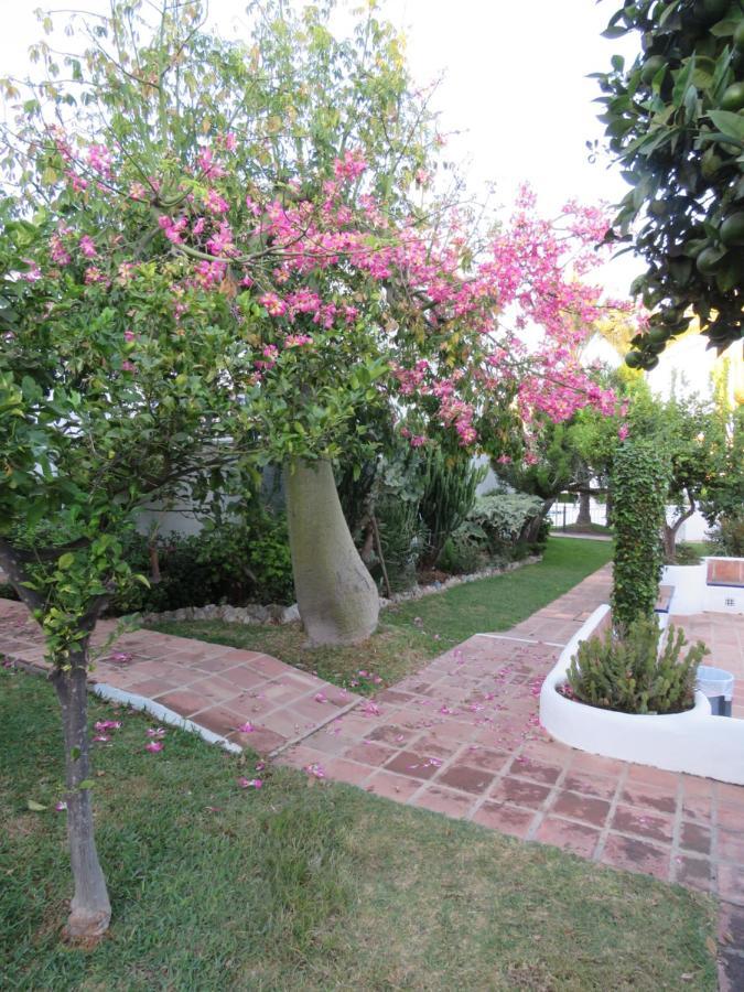 Apartamento Bien Situado En Marbella Esterno foto