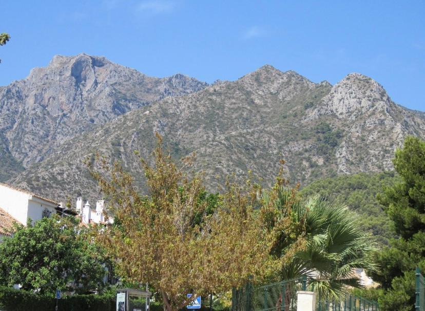 Apartamento Bien Situado En Marbella Esterno foto